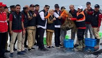 Sakti Wahyu Trenggono melakukan panen udang di kawasan Budidaya Udang Berbasis Kawasan (BUBK) di Kebumen, Jawa Tengah, Selasa (6/6/2023).  