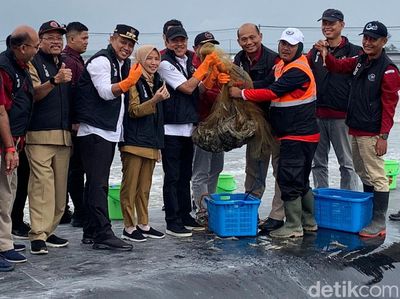 Trenggono Panen Udang Hampir Rp 1 M di Tambak Terbesar se-RI, Ini Potretnya