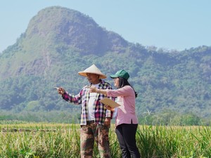 Sensus Pertanian 2023 Dimulai, Apa Dampaknya ke Pelaku Usaha Pertanian?
