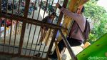 Bak Ninja Warrior, Warga Merayap di JPO Kalibata Ciliwung yang Ditutup
