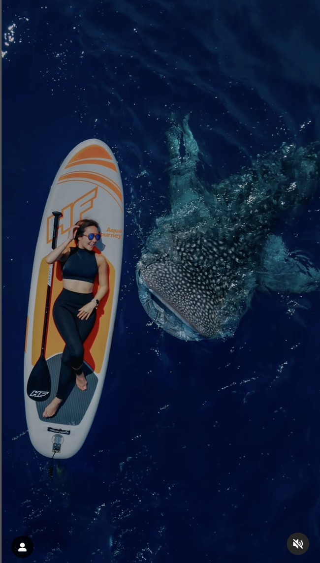 Gisella bergaya dengan sang hiu paus dalam balutan busana menyelam berwarna biru. Ibu dari Gempita Nora Marten itu menikmati momennya saat berbaring di atas paddle board sementara sang hiu paus berada di dalam air di sebelahnya. Foto: Dok. Instagram @ gisel_la