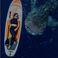 Gisella bergaya dengan sang hiu paus dalam balutan busana menyelam berwarna biru. Ibu dari Gempita Nora Marten itu menikmati momennya saat berbaring di atas paddle board sementara sang hiu paus berada di dalam air di sebelahnya. Foto: Dok. Instagram @ gisel_la