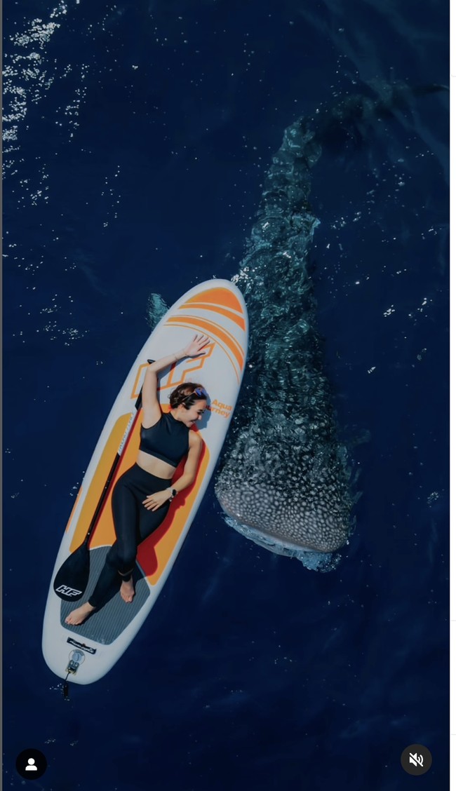 ‘Giant friends’ yang dimaksud Gisella tak lain adalah hiu paus yang ikut berpose bersamanya. Gisella tampak bergaya bersama sang hiu paus sambil berbaring di atas paddle board. Foto: Dok. Instagram @ gisel_la