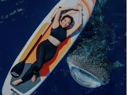 Gaya Gisella Anastasia Pose Bareng Hiu Paus di Laut Gorontalo