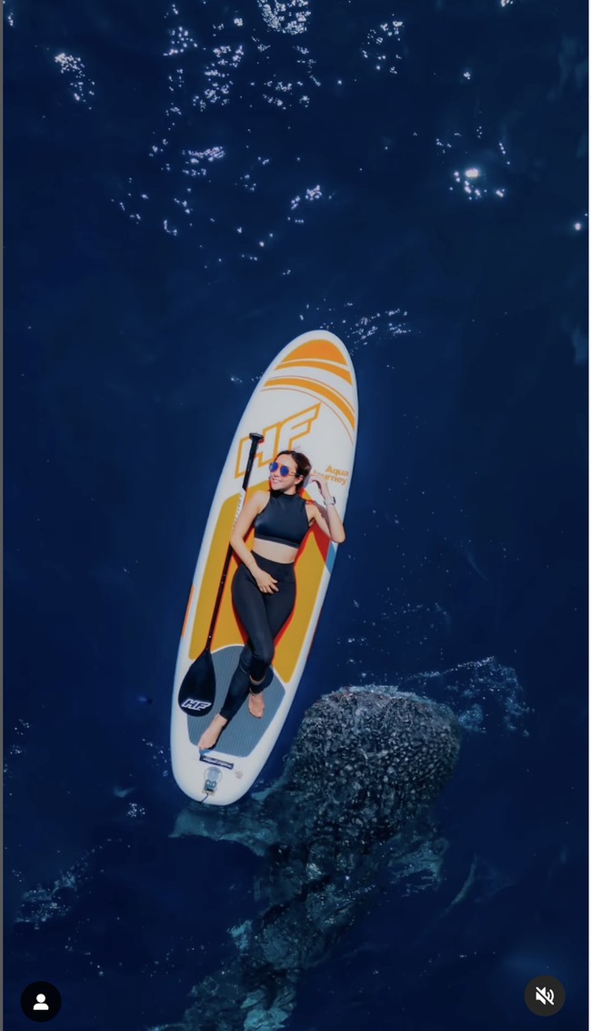 Gisella Anastasia mengunggah momen liburannya di Gorontalo ke akun Instagramnya gisel_la. “When making friends with this giant seems so effortles,” tulisnya pada keterangan unggahannya. Foto: Dok. Instagram @ gisel_la