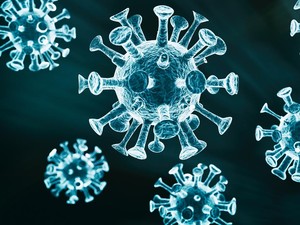 Hong Kong Laporkan Kasus Infeksi Virus B Pertama pada Manusia, Mungkinkah Masuk RI?