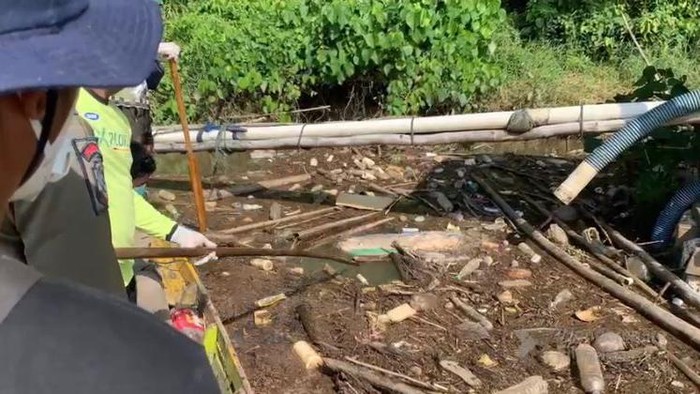 Sebanyak 15 ekor babi di Kabupaten Luwu Timur (Lutim), Sulawesi Selatan (Sulsel) kembali ditemukan mati akibat terpapar virus African Swine Fever (ASF).