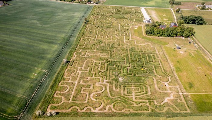 Picture taken on June 6, 2023 shows Gilleleje Labyrinth, where guests must guess their way through the labyrinth's 7km of green paths of willows, deciduous trees, bushes, flowers and fir trees in Gilleleje, Denmark. (Photo by Mads Claus Rasmussen / Ritzau Scanpix / AFP) / Denmark OUT (Photo by MADS CLAUS RASMUSSEN/Ritzau Scanpix/AFP via Getty Images)