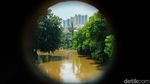 Normalisasi Ciliwung di Rawajati Masih Jalan di Tempat