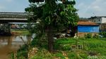 Normalisasi Ciliwung di Rawajati Masih Jalan di Tempat