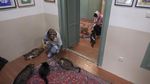 Pencinta Kucing Merapat, Ada Meowseum di Iran