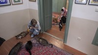 Dua wanita memberi makan kucing saat mengunjungi Meowseum di pusat kota Teheran, Iran, Selasa (6/6/2023). 