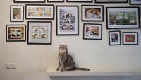 Meowseum merupakan tempat penangkaran kucing milik seorang pencinta kucing di Iran. 