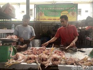 Harga Daging Ayam di Medan Meroket, Tembus Rp 42 Ribu/Kg