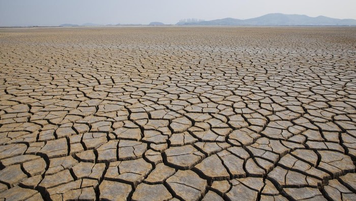 Menurut situs BMKG, El Nino dapat memicu terjadinya kekeringan di Indonesia. Simak informasi selengkapnya soal peringatan El Nino 2023 di Indonesia oleh BMKG.