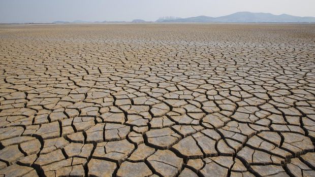 Menurut situs BMKG, El Nino dapat memicu terjadinya kekeringan di Indonesia. Simak informasi selengkapnya soal peringatan El Nino 2023 di Indonesia oleh BMKG.
