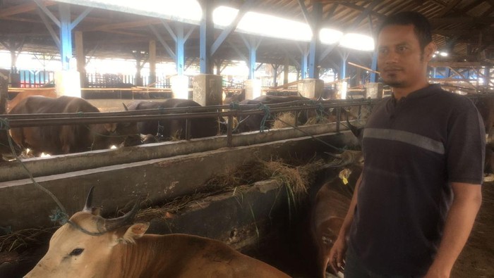 Ramainya pembeli ini ada di Andini Sakti yang merupakan salah satu tempat pusat hewan kurban di Cikarang Barat, Kabupaten Bekasi. (Muhammad Fariz At Thariq/detikcom)
