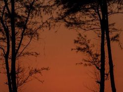 Keren! Deretan Foto Siluet Menangkap Matahari Terbenam Tanpa Photoshop