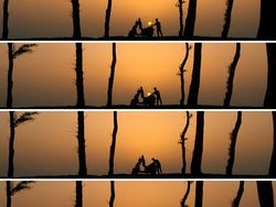 Keren! Deretan Foto Siluet Menangkap Matahari Terbenam Tanpa Photoshop