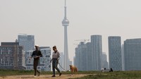 Hal ini mengakibatkan kualitas di negara tersebut menjadi buruk. Cole Burston/Bloomberg/Getty Images