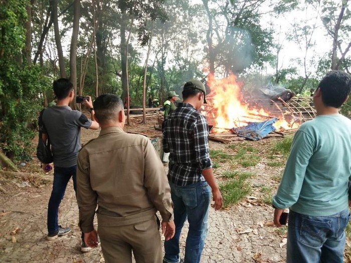Pembakaran arena judi sabung ayam di Kabupaten Brebes, Jawa Tengah, Kamis (8/6/2023).