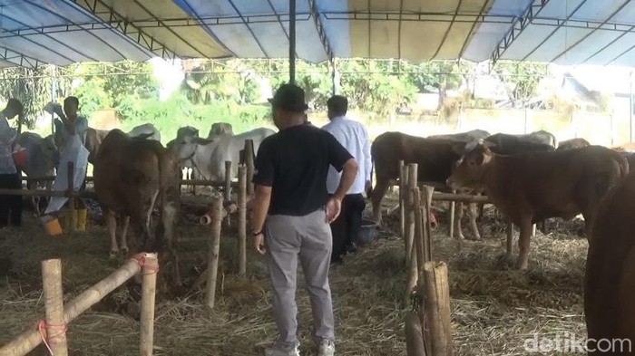 Penjualan hewan kurban di Sukabumi.