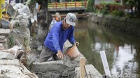Turap yang diperbaiki sepanjang kurang lebih 100 meter.