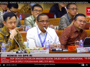 DPR Tegur Bos Smelter Gara-gara Rapat Tak Pakai Bahasa Indonesia
