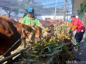 Penjualan-Jasa Potong Hewan Kurban di RPH Surabaya Naik 10%