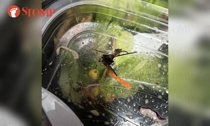 Zonk! Beli Salad via Drive Thru, Pelanggan Ini Nyaris Telan Serangga