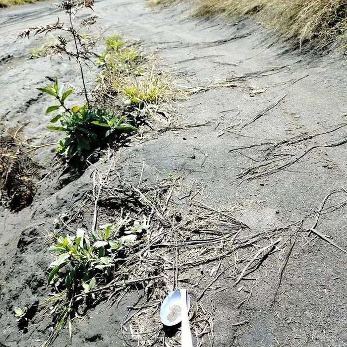 Bersih Gunung Bromo