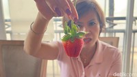 Ci Mehong sempat mengungkapkan alasan menjual buah dengan harga tinggi. Ya kalau yang murah mungkin dia udah mulai cacat. Barang kita lihat kesegarannya, kata orang Rp 50.000 mana mungkin, ujar Ci Mehong kepada detikFood. Foto: detikFood/Yenny Mustika Sari