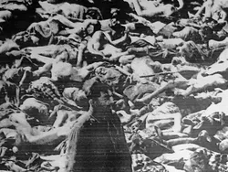 Foto Paling Menggemparkan dan Menyentuh yang Pernah Dibuat