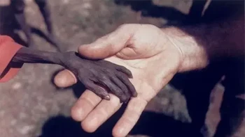 Diambil oleh Mike wells, menunjukkan tangan seorang anak Laki-Laki Uganda yang dipegang oleh seorang misionaris. Gambar ini mengingatkan kita tentang perbedaan di dunia ini. Foto: via 121Cliks
