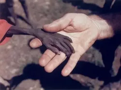 Foto Paling Menggemparkan dan Menyentuh yang Pernah Dibuat