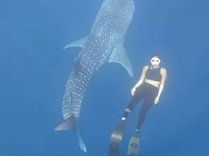 Gisel Cerita Ngeri-ngeri Sedap Diving Bareng Hiu Paus