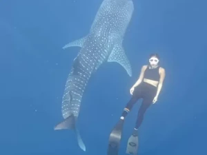 Gisel Cerita Ngeri-ngeri Sedap Diving Bareng Hiu Paus