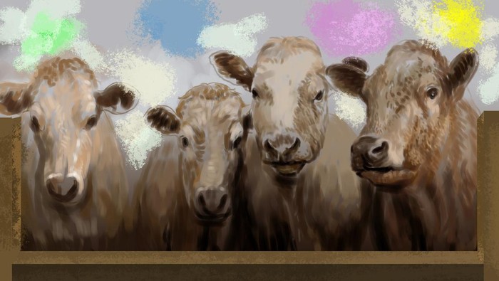 ilustrasi cerpen