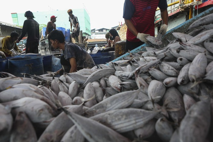 Workers unload fish from a fishing boat  during World Ocean Day in Muara Baru Port, Jakarta, Indonesia,on June 8, 2023. Indonesia has an opportunity to become the worlds largest fish producer, as it is already the second-largest aquaculture country, with a production of 13 thousand tons in 2020.  (Photo by Agoes Rudianto/NurPhoto via Getty Images)
