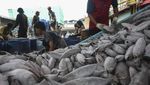 Indonesia Peringkat Kedua Negara Penghasil Ikan Laut Terbesar Dunia