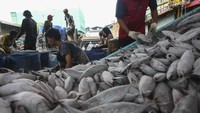 Indonesia berpeluang menjadi produsen ikan terbesar di dunia, karena sudah menjadi negara akuakultur terbesar kedua.  