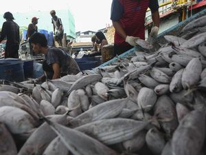 Mengapa Ikan Berbau Amis? Yuk Cari Tahu!