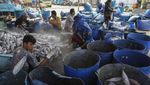 Indonesia Peringkat Kedua Negara Penghasil Ikan Laut Terbesar Dunia