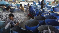 Dikutip dari GoodStats.com, berikut lima negara penghasil ikan laut terbesar di dunia: China berada diperingkat pertama dengan produksi ikan 11,70 juta ton pada tahun 2020. Tidak heran, World Atlas mencatat 25 persen atau sekitar 14 juta penduduk di China berprofesi sebagai nelayan. Guna mendukung potensi ini, pemerintah China memberikan fasilitas penunjang dan teknologi yang memadai bagi para nelayan di sana.  