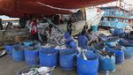 Indonesia Peringkat Kedua Negara Penghasil Ikan Laut Terbesar Dunia