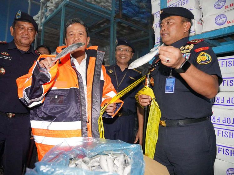 Kementerian KKP Sita 20 Ton Ikan Salem Impor