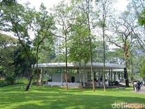 5 Kota Paling Menenangkan di Dunia: Singapura Masuk, Indonesia Tidak