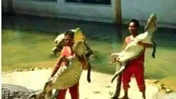 Gimana? Tertarik, nggak? Foto: 1cak