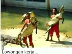 Meme Kerasnya Dunia Kerja, Tetap Menyerah dan Jangan Semangat!