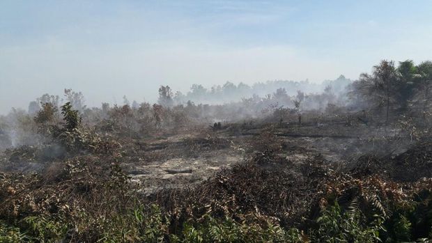 Kebakaran hutan adalah salah satu bencana yang disebabkan oleh faktor alam atau perbuatan manusia. Lalu, apa saja yang menjadi penyebab kebakaran hutan?